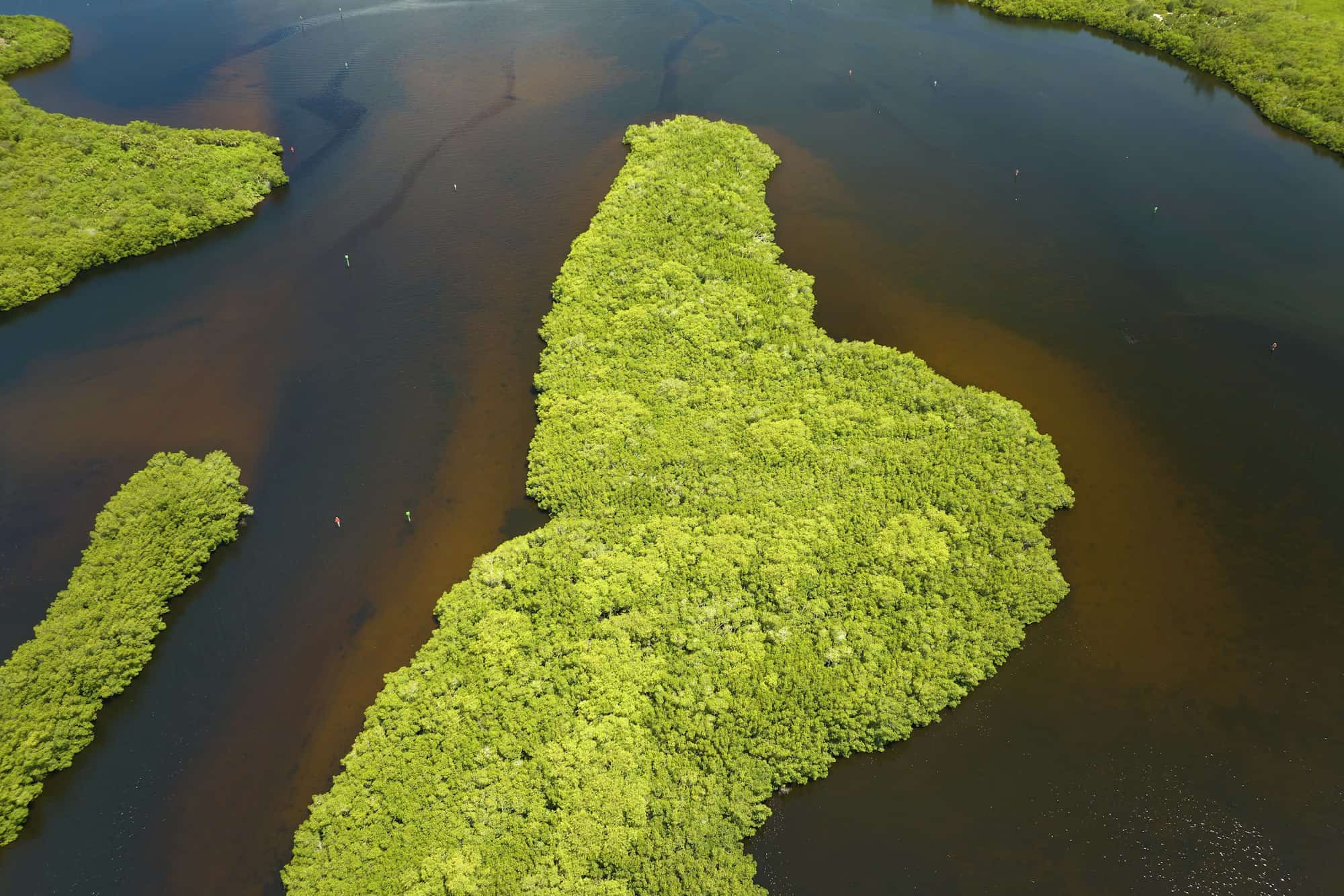 View from above of Florida everglades with green vegetation between ocean water inlets