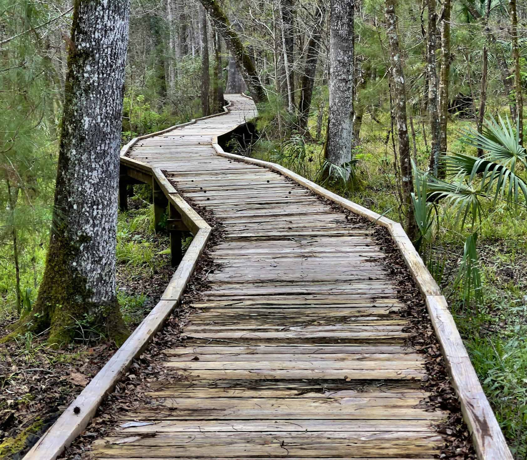 Investment Philosophy